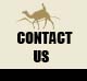 contacts & faq